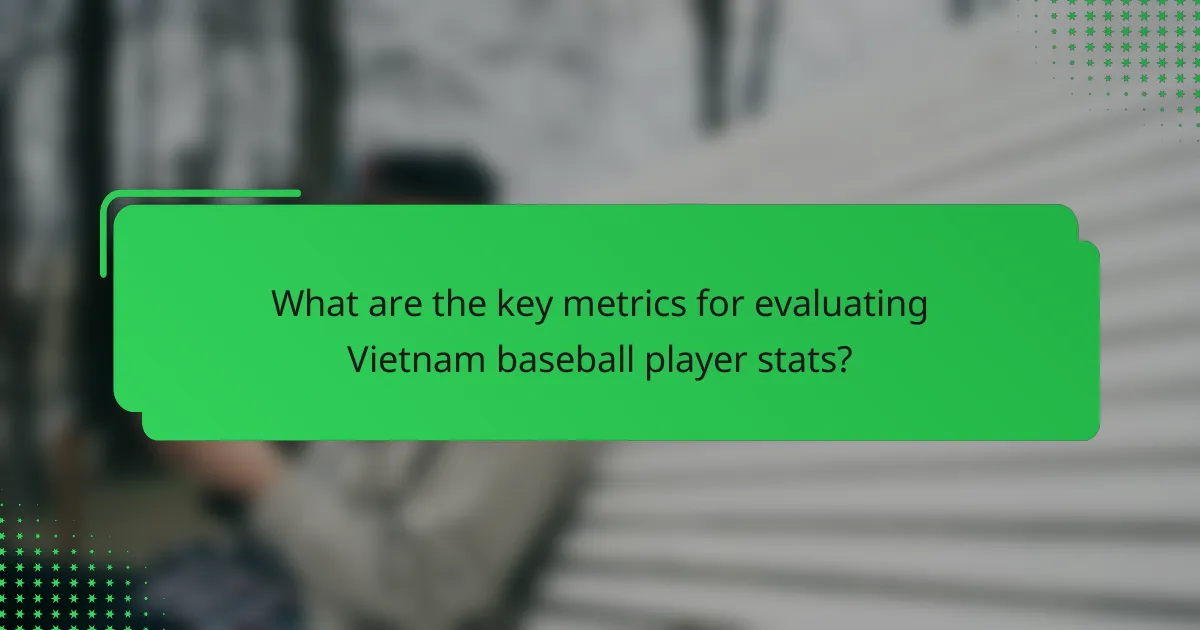 What are the key metrics for evaluating Vietnam baseball player stats?
