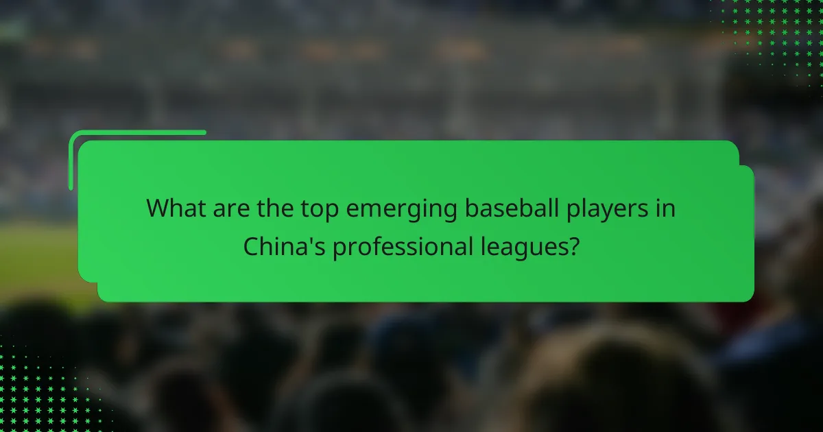 What are the top emerging baseball players in China's professional leagues?